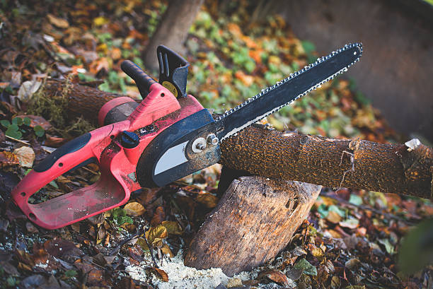 Best Utility Line Clearance  in North Lakeville, MA